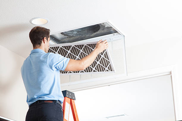 Best Ductless HVAC Repair  in Safety Harbor, FL